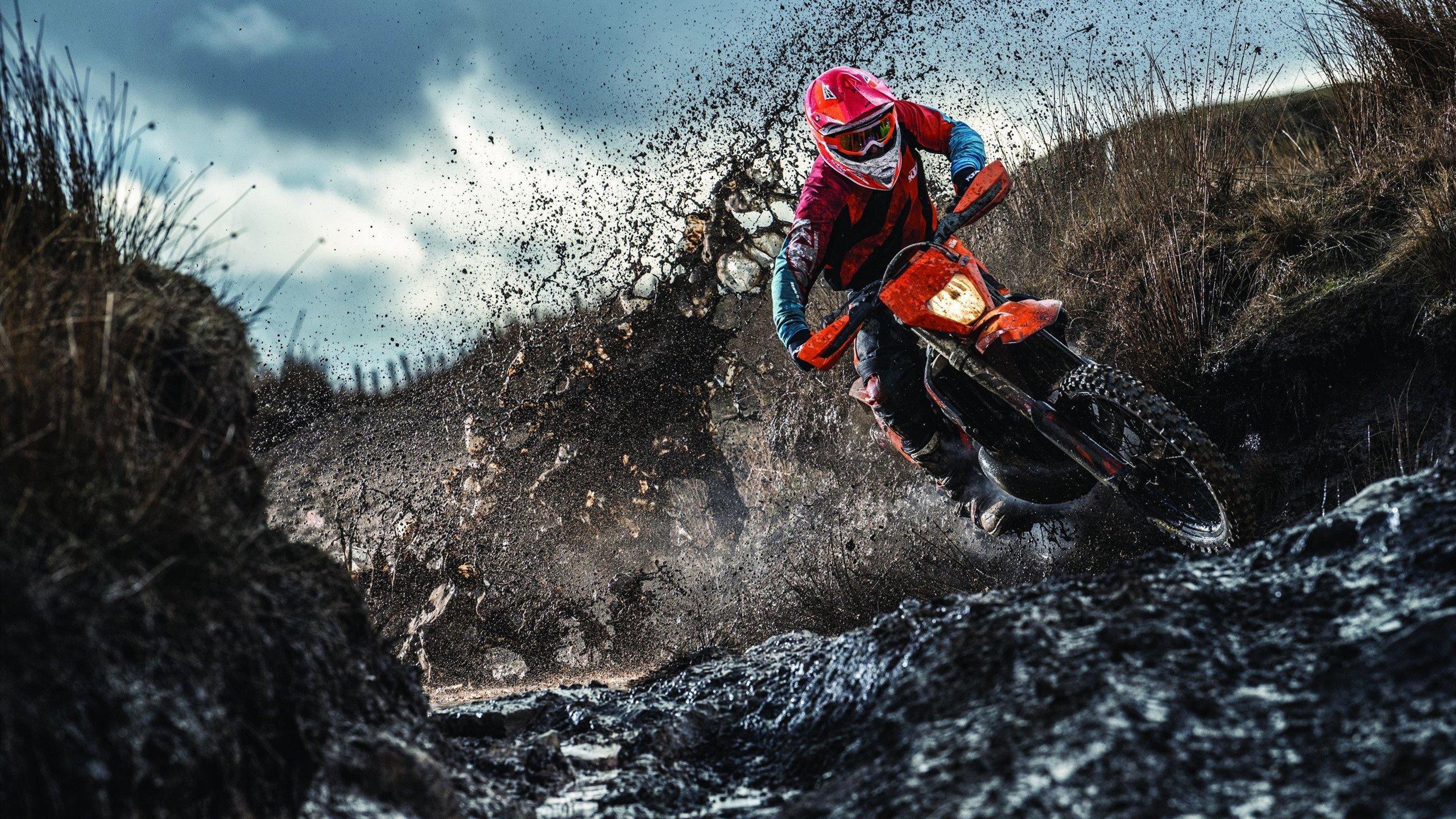 谷爱凌再创佳绩 自由式滑雪世界杯勇夺金牌